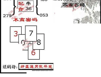 九宝图26101期福彩3D寻码图