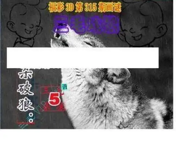 25315期: 三毛3D精品图谜