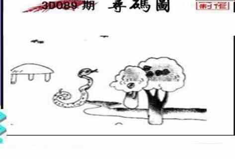 24089期: 三毛3D精品图谜