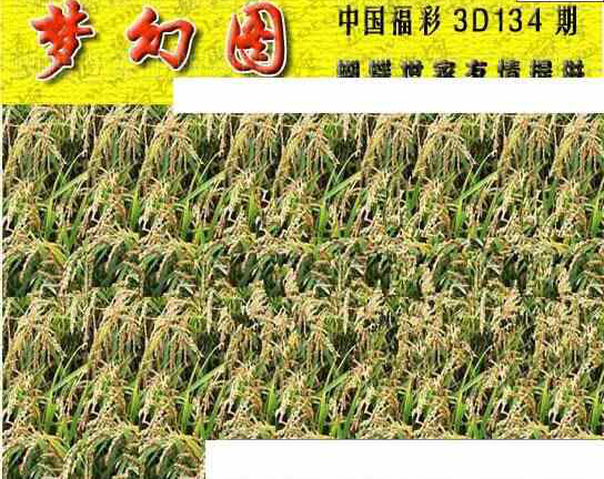 24134期: 3D蝴蝶世家蝴蝶彩图