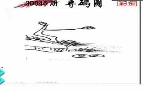 25046期: 三毛3D精品图谜