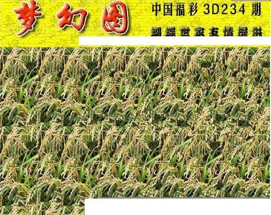25234期: 3D蝴蝶世家蝴蝶彩图