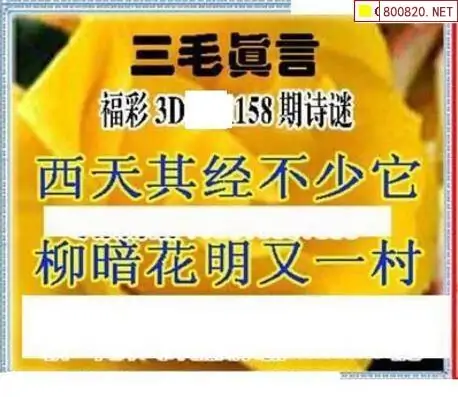 25158期: 三毛3D精品图谜