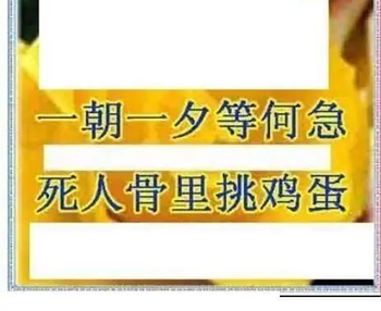 26023期: 三毛3D精品图谜