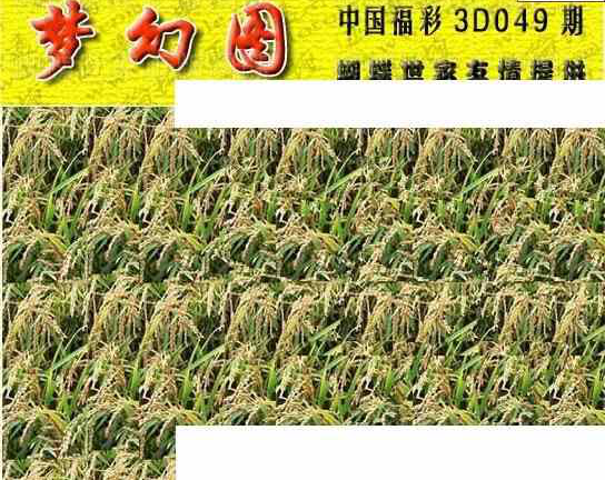 25049期: 3D蝴蝶世家蝴蝶彩图