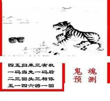 25320期: 三毛3D精品图谜