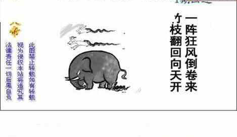 24271期: 白老3D杀码图版