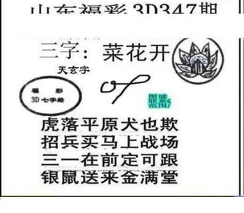 25347期: 三毛3D精品图谜
