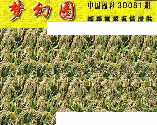 24081期: 3D蝴蝶世家蝴蝶彩图