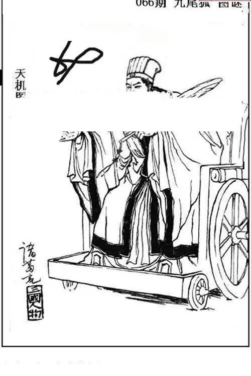 25066期: 三毛3D精品图谜