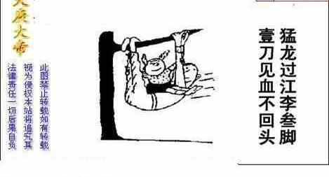 24152期: 白老3D杀码图版