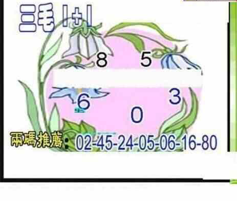 24088期: 三毛3D精品图谜