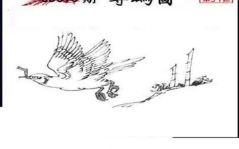 26015期: 三毛3D精品图谜