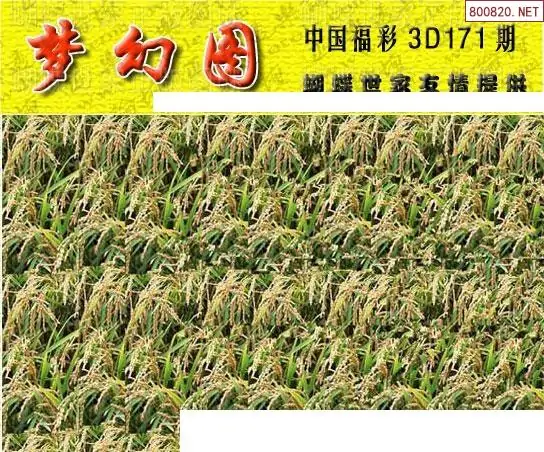 25171期: 3D蝴蝶世家蝴蝶彩图