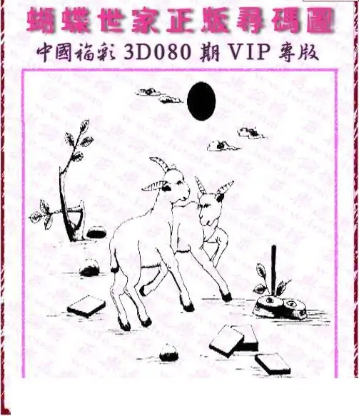 25080期: 3D蝴蝶世家蝴蝶彩图
