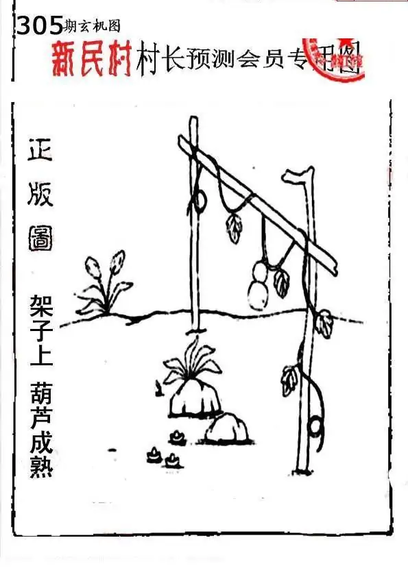 25305期: 老村长福彩3D天天图谜