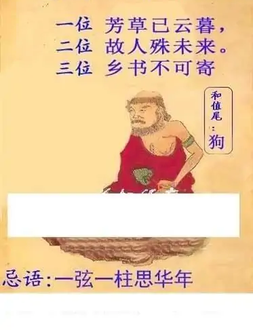 25310期: 白老3D杀码图版