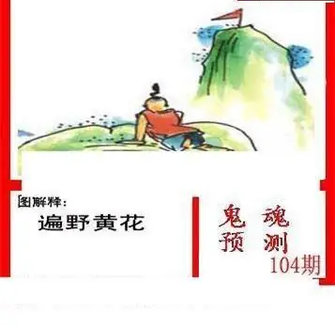 26104期: 白老3D杀码图版