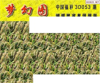 26053期: 3D蝴蝶世家蝴蝶彩图