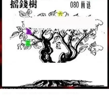 26080期: 三毛3D精品图谜