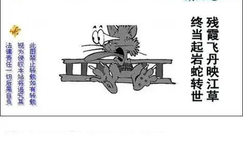 25332期: 白老3D杀码图版