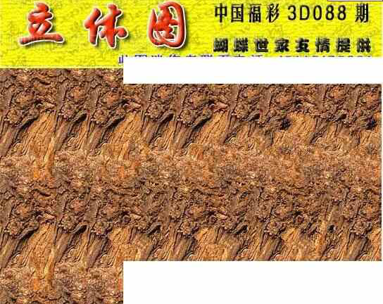 24088期: 3D蝴蝶世家蝴蝶彩图