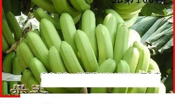 26100期: 白老3D杀码图版