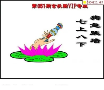 福彩3D 26051期佐罗图一掌经预测图