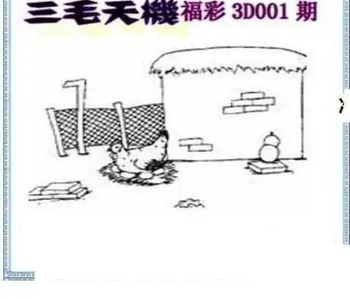 26001期: 三毛3D精品图谜