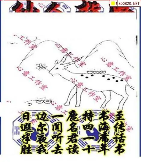 25160期: 三毛3D精品图谜