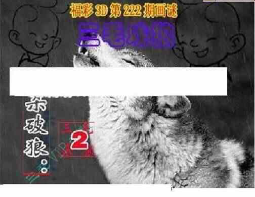 24222期: 三毛3D精品图谜