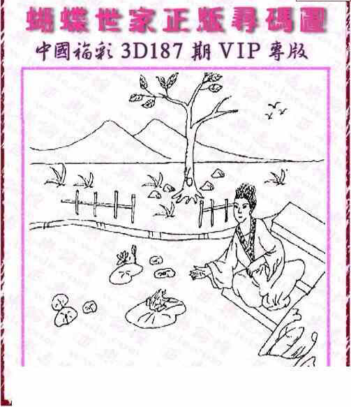 24187期: 3D蝴蝶世家蝴蝶彩图