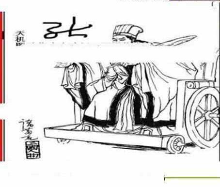 24219期: 三毛3D精品图谜