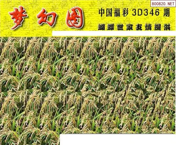 25346期: 3D蝴蝶世家蝴蝶彩图