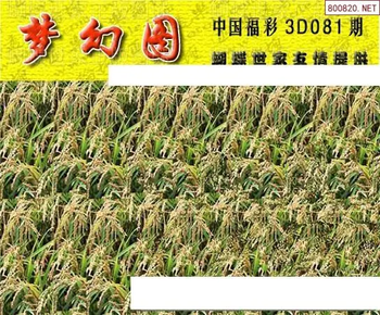 26081期: 3D蝴蝶世家蝴蝶彩图