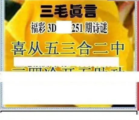 25251期: 三毛3D精品图谜