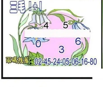 26089期: 三毛3D精品图谜