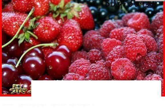 24334期: 白老3D杀码图版