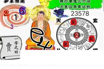 25317期: 白老3D杀码图版