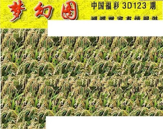 25123期: 3D蝴蝶世家蝴蝶彩图