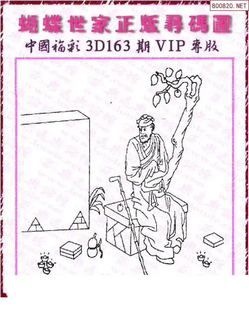 25163期: 3D蝴蝶世家蝴蝶彩图