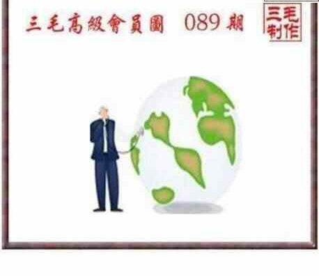 24089期: 三毛3D精品图谜