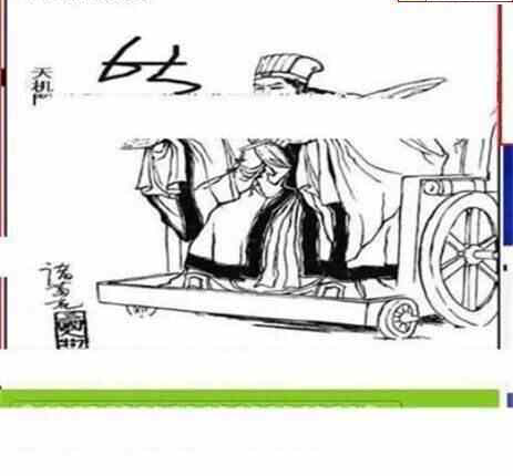 24090期: 三毛3D精品图谜