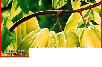 26012期: 白老3D杀码图版