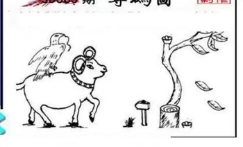 26083期: 三毛3D精品图谜