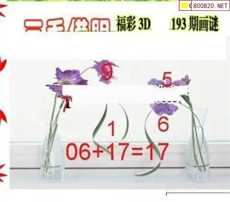 25193期: 三毛3D精品图谜