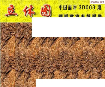 26003期: 3D蝴蝶世家蝴蝶彩图