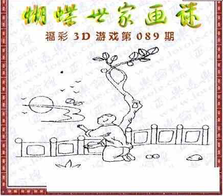 24089期: 3D蝴蝶世家蝴蝶彩图