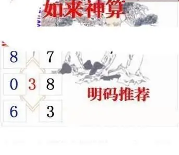 26073期: 白老3D杀码图版