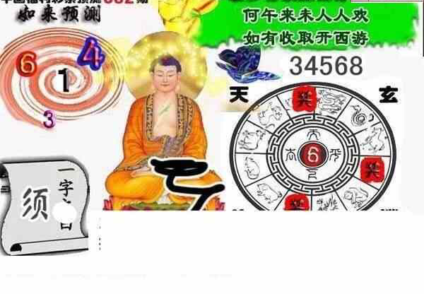 24082期: 白老3D杀码图版